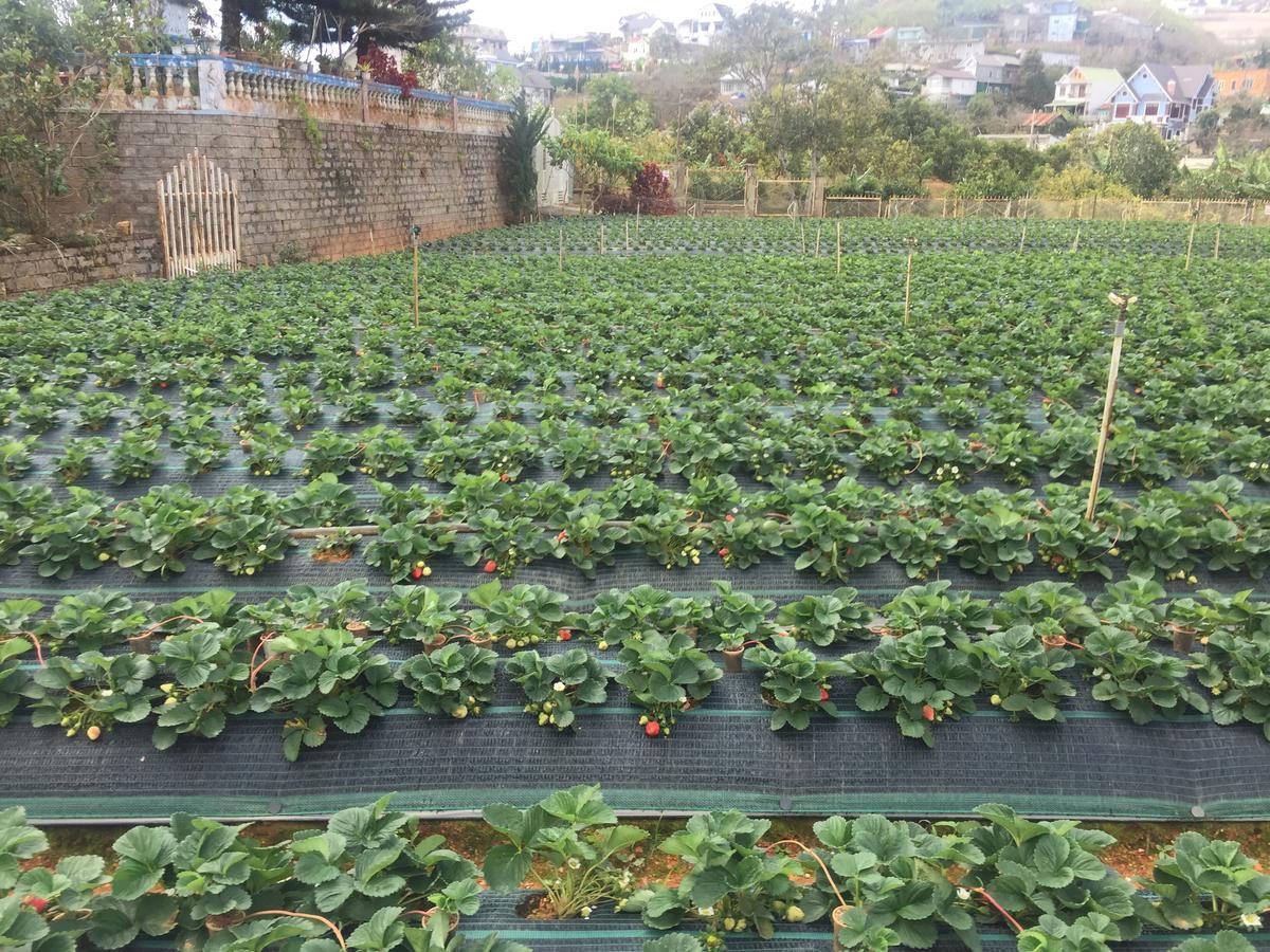Nhat Nam Hotel Da Lat Kültér fotó
